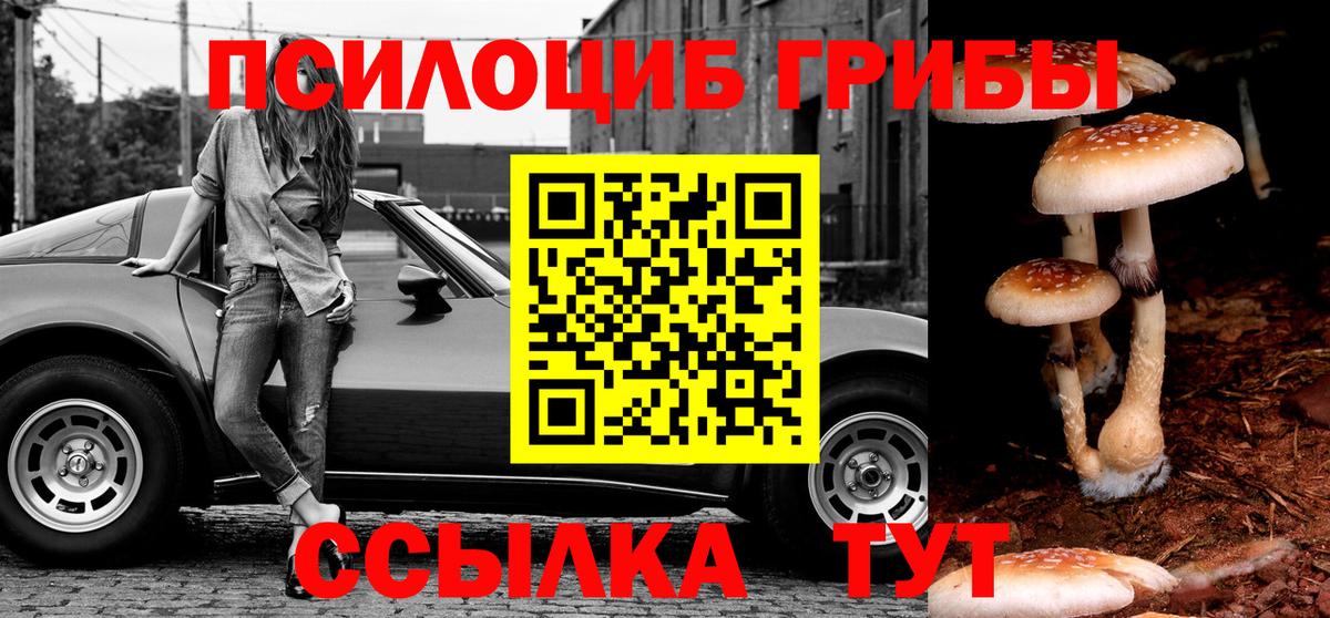 Псилоцибиновые грибы прущие грибы  Вход с VPN  Волоколамск 